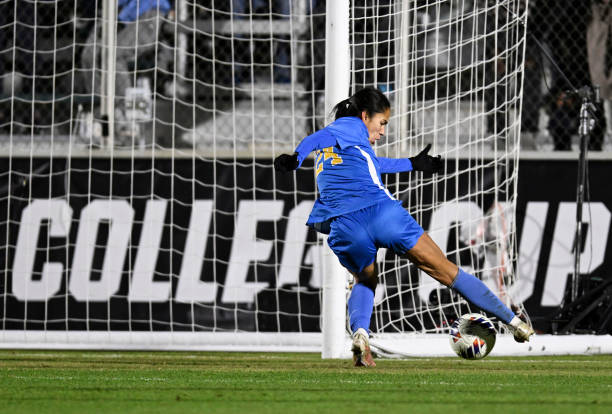 布里斯班狮 布里斯班狮